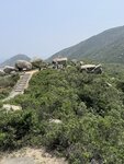 IMG_6794