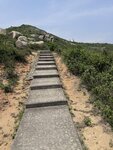IMG_6799
