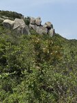 IMG_6801