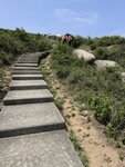 IMG_6810