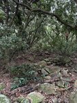 IMG_6903