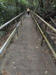 IMG_6907