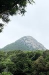 IMG_7323