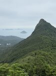 IMG_7431