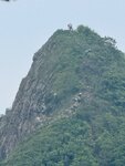 IMG_7441