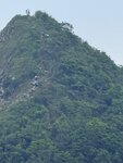 IMG_7442