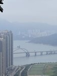 IMG_7451