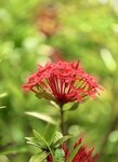 IMG_7476
