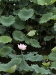 IMG_7007