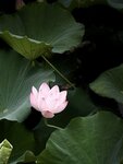 IMG_7011