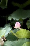 IMG_7015