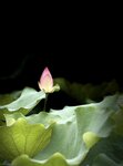 IMG_7017