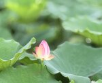 IMG_7022