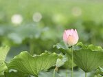 IMG_7024