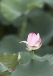 IMG_7025