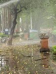 IMG_7029