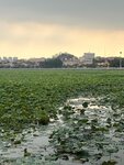 IMG_7031