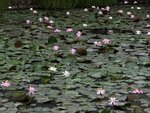 IMG_7176