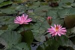 IMG_7179