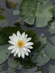 IMG_7183