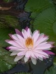 IMG_7200