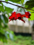 IMG_7560