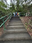 IMG_7568