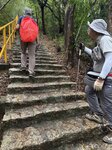 IMG_7585