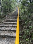 IMG_7586