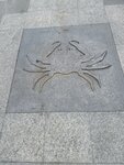 IMG_7702