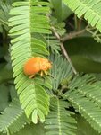IMG_7711