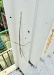 IMG_7718