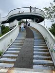 IMG_7719