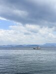 IMG_7732