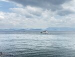 IMG_7733