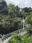 IMG_7754