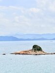 IMG_7774