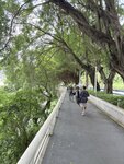 IMG_7776