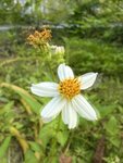 IMG_7818