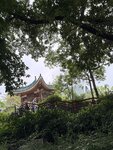 IMG_7836