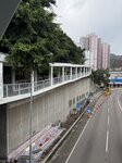 IMG_7855