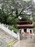 IMG_8001