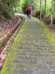 IMG_8067
