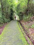 IMG_8095
