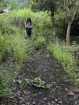 IMG_8098