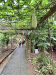 IMG_8105