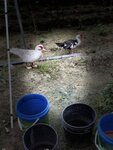 IMG_8110