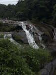 IMG_8113