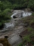 IMG_8118