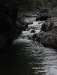 IMG_8120